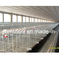 a Type Automatic Poultry Farm Equipment Layer Chicken Cage